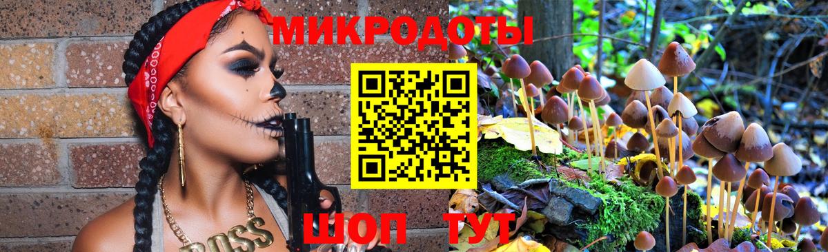 Галлюциногенные грибы Psilocybe Губкинский