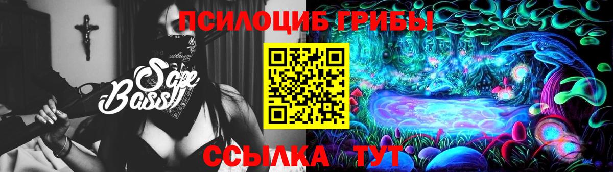 Псилоцибиновые грибы Psilocybine cubensis  Вход с VPN  Губкинский  Галлюциногенные грибы MAGIC MUSHROOMS 