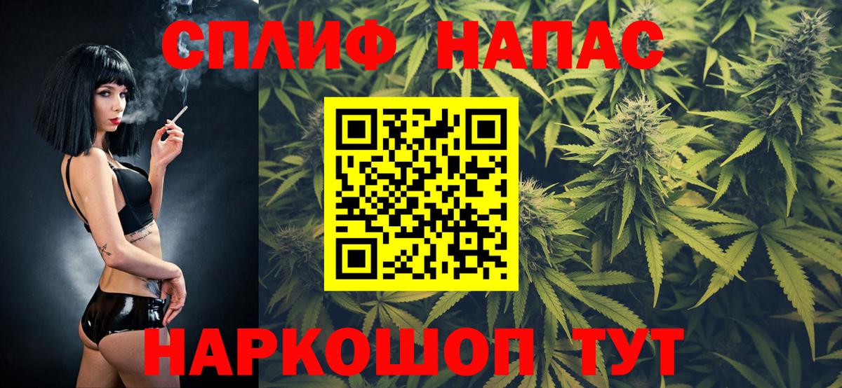 Каннабис конопля Губкинский